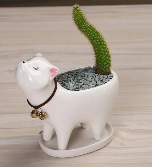 Pot de fleurs blanc en forme de chat